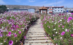 猫咪社区免费资源在线观看